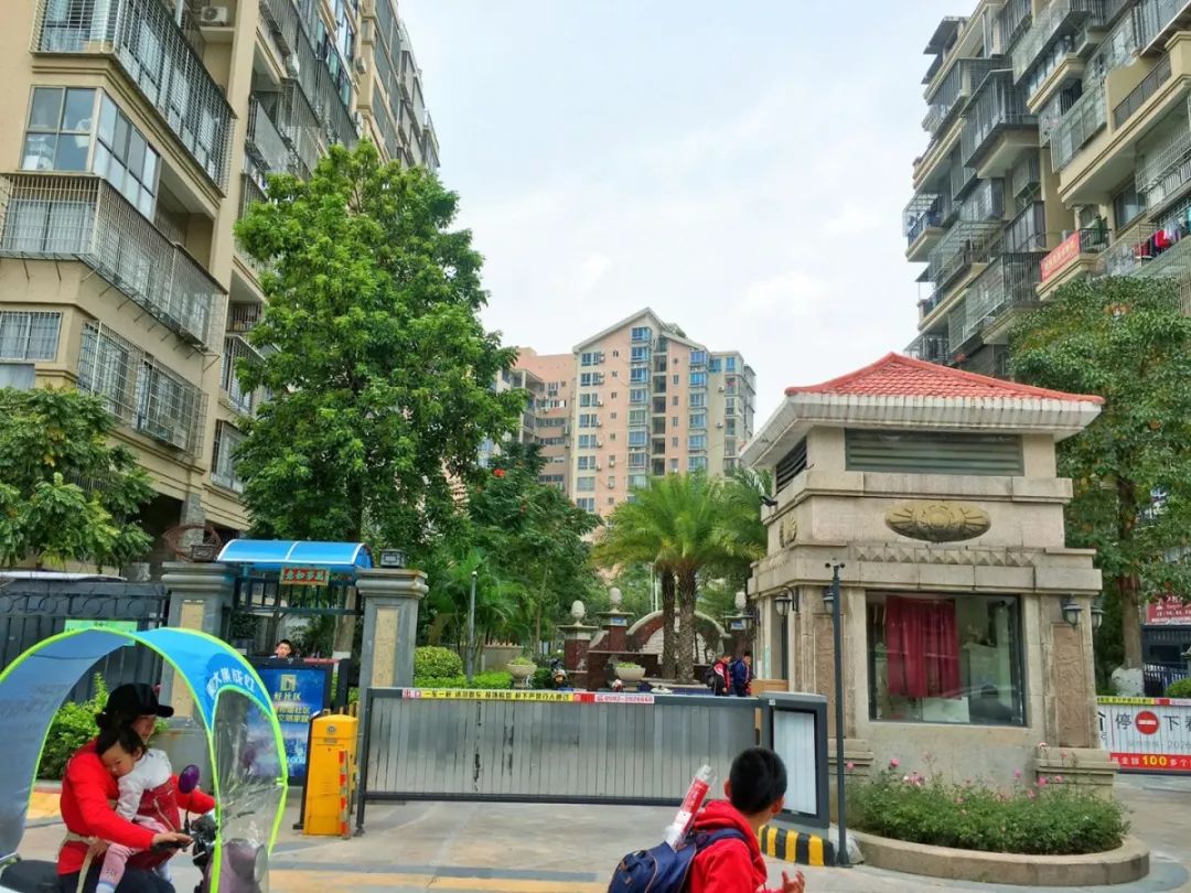 老破小一平10万+！我们走遍厦门18所名校，为你曝光最贵学区房！