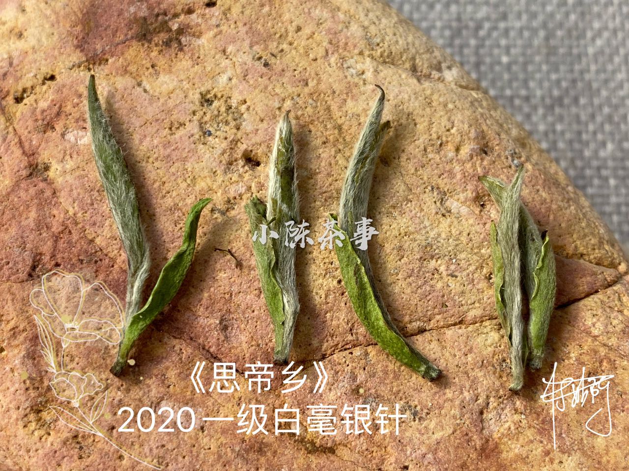 新手第一次买白茶，选什么比较好？白毫银针、白牡丹还是寿眉？
