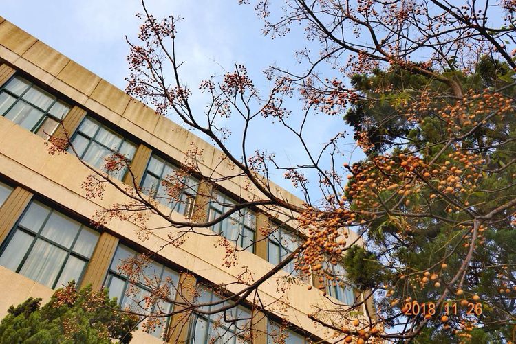 30年重回母校，深情切切，可喜新颜——河大老校区随拍