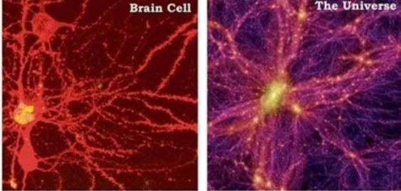 为什么宇宙的结构与大脑神经元结构如此相似？