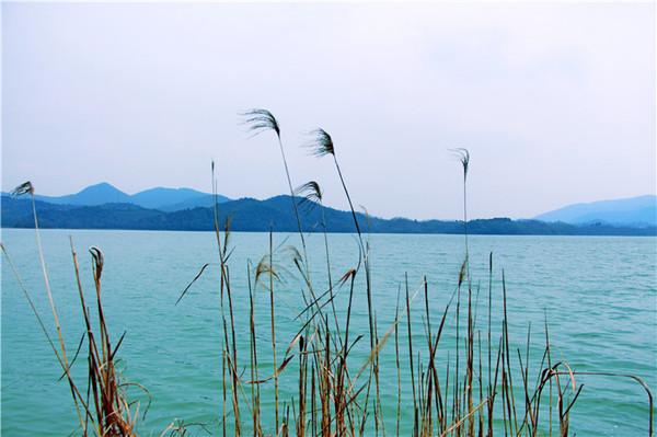 浙江莫干山，有江南第一山的美誉，是四大避暑胜地之一