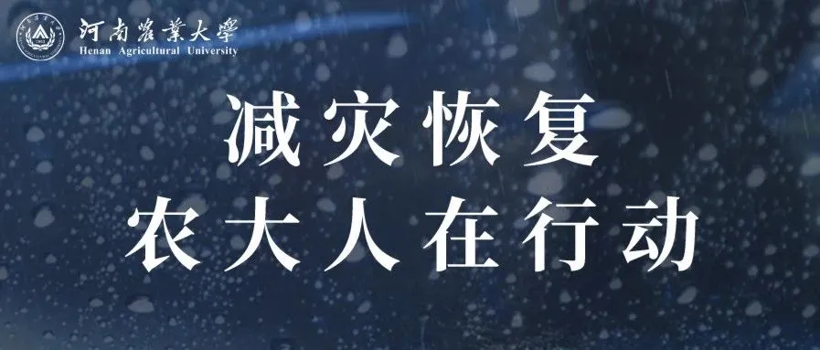 农大人的身影在前，我们“豫”难而上