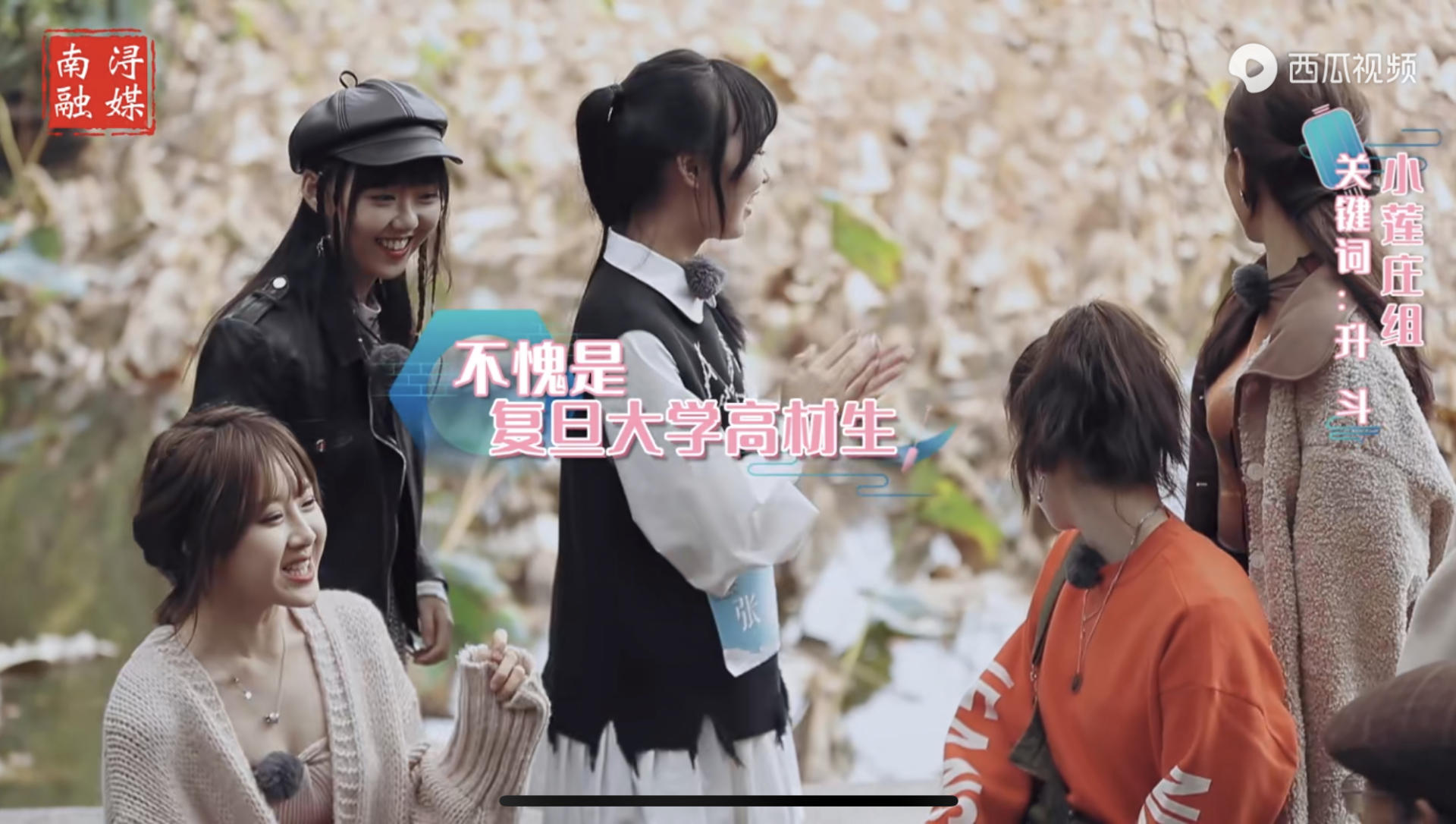 张雪峰离开大城市，白岩松向往小村庄，背后原因刺痛无数人的心