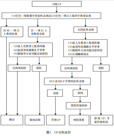 什么是胰腺炎？分类诊断与治疗？3措施可预防，暴饮暴食高风险