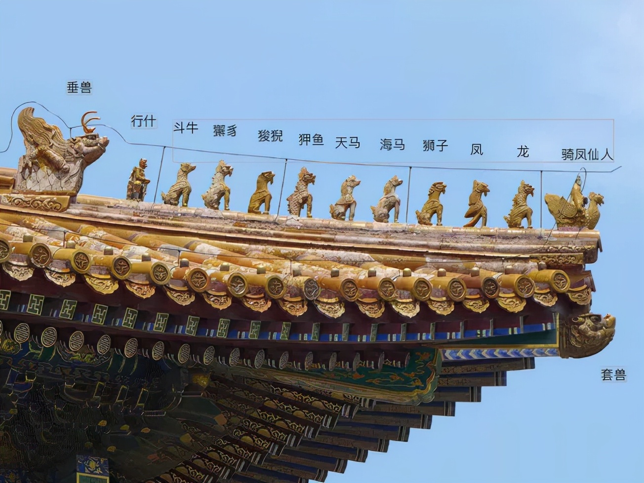 涨知识丨五脊六兽