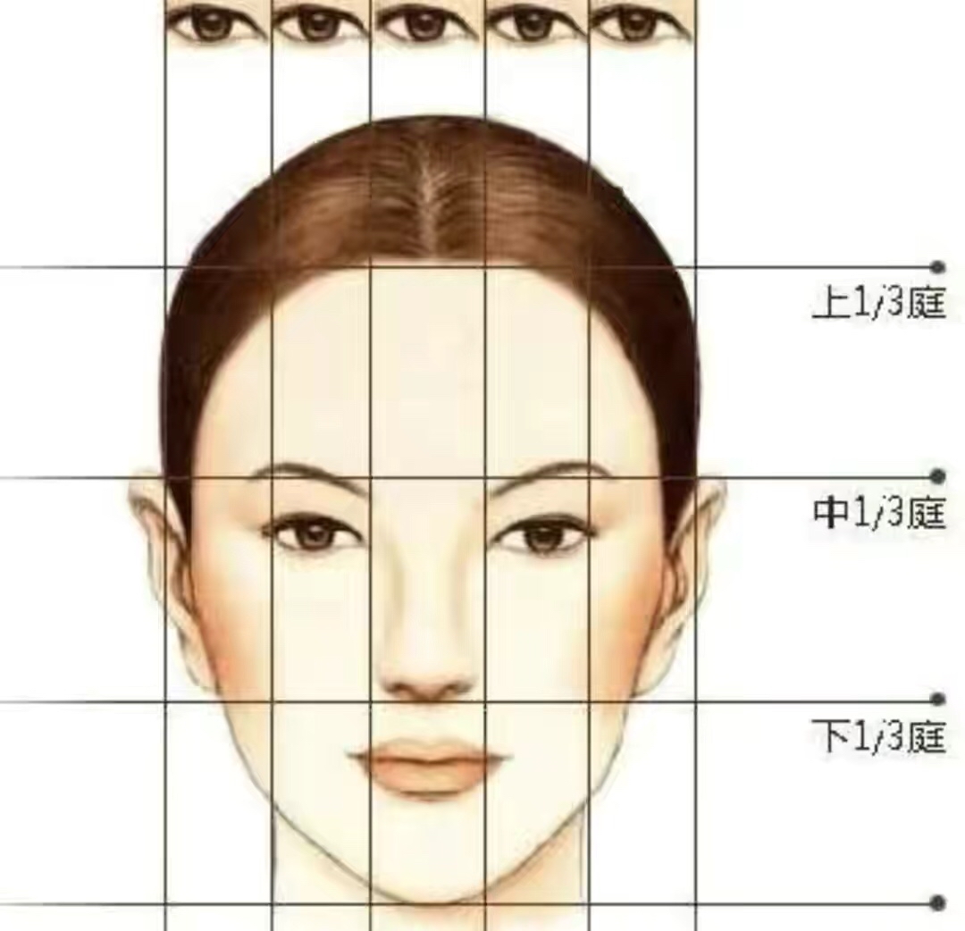 脸型分析