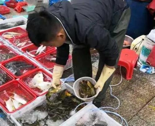 没存款又想创业？来试试这几个闷声发大财的项目，建议收藏