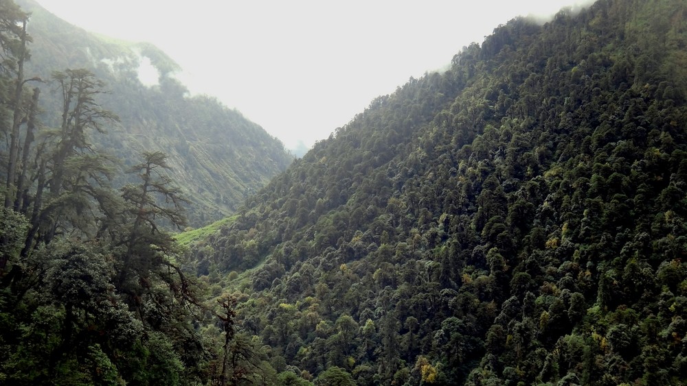 4万远征军进入野人山,幸存的3000人中,女兵仅她一人,是谁?