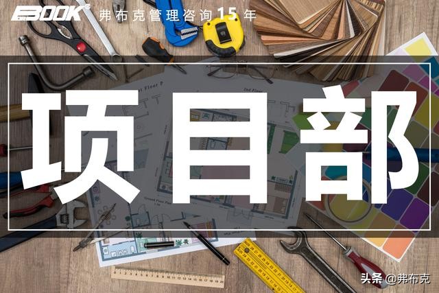 工程项目管理办法（项目管理制度与办法）