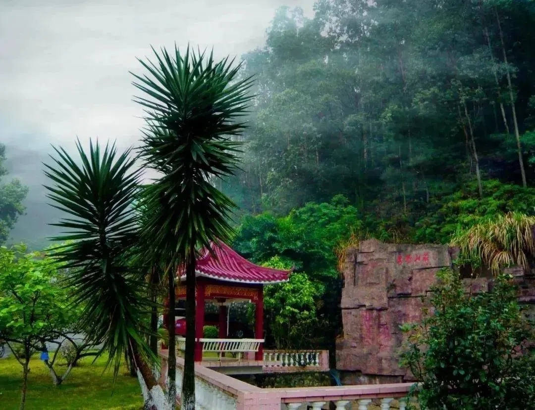 小编找了些涉外的硬货，希望能帮到3+证书补录的你｜广州涉外学院