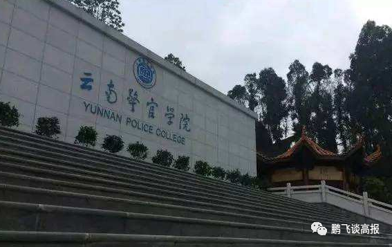 D78：云南省第一集团高校介绍，云大、昆明理工领衔