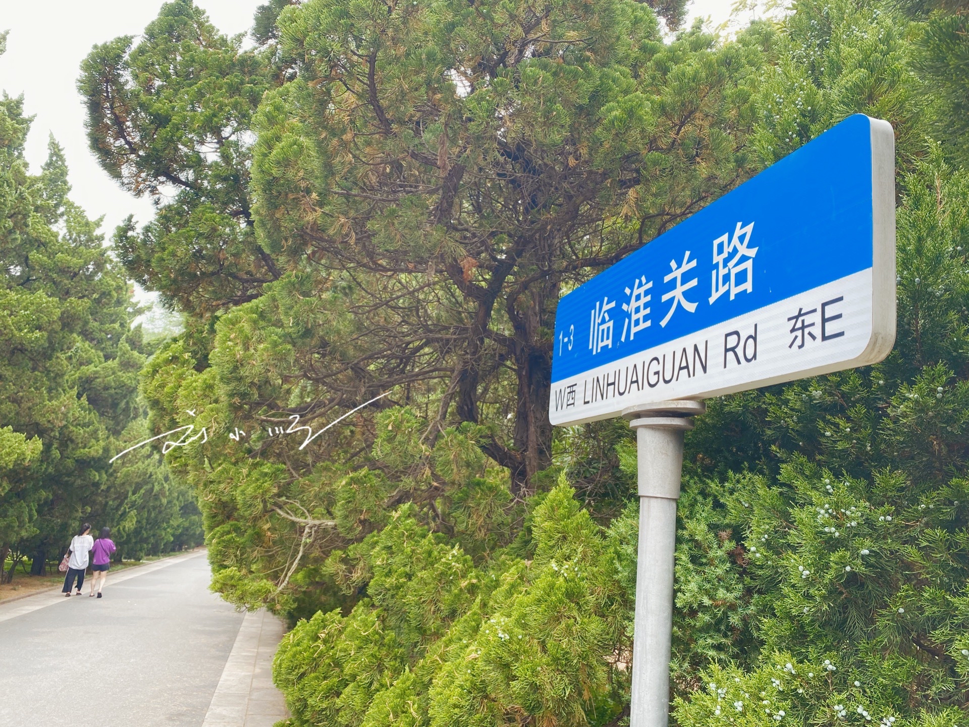 山东青岛最著名的“别墅区”，路名都是长城关隘，游客争相来打卡