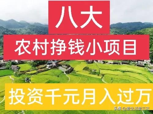 农业小项目，也能挣大钱，这些偏门小生意原来真的很挣钱！