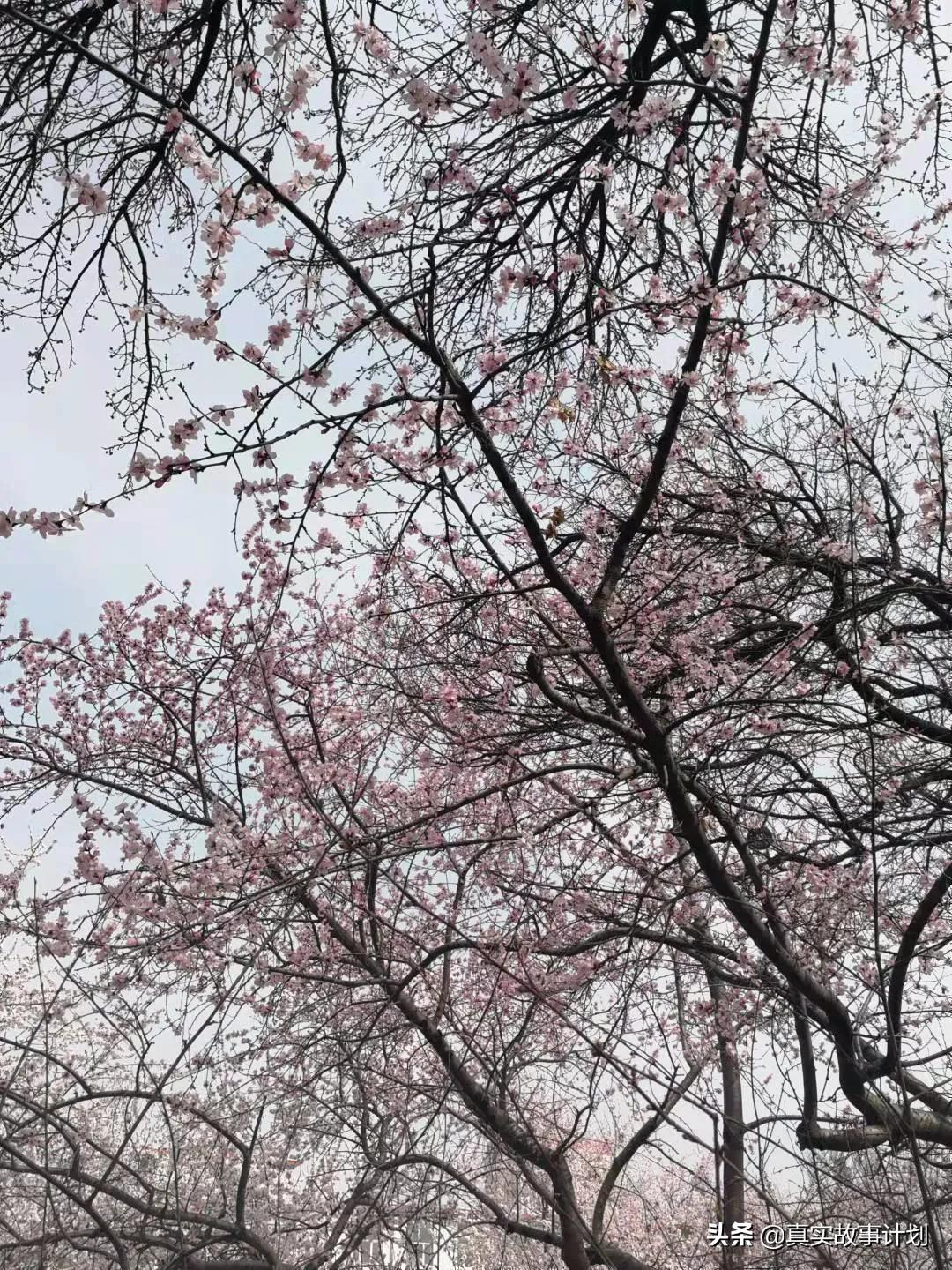 双非硕士，站在高学历的底端：学校难以融入，职场歧视普遍