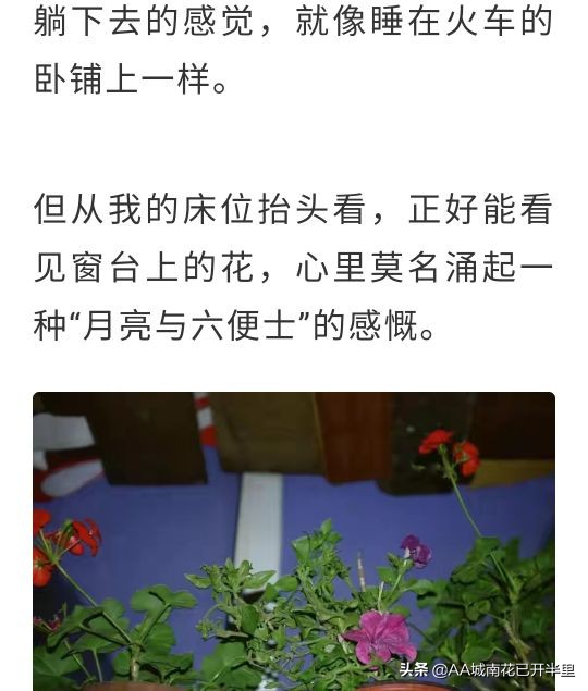 读完2元女子宿舍这个文章，心酸无奈并涌，你们觉得人间值得吗？