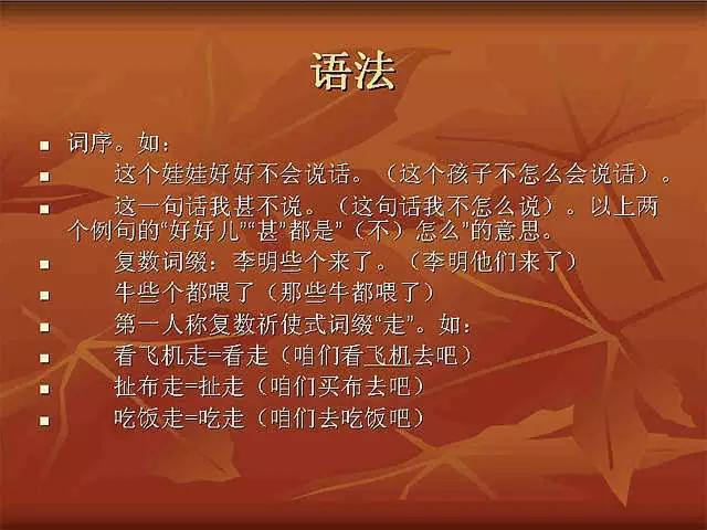 神秘的新疆方言大揭秘!(精华)