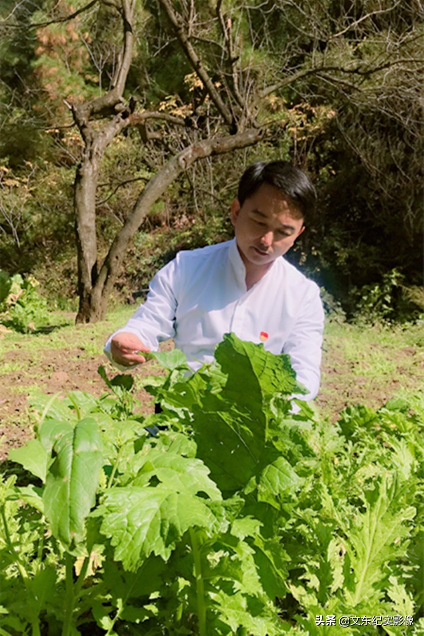 王子清有多少身价王子清现在怎么样了