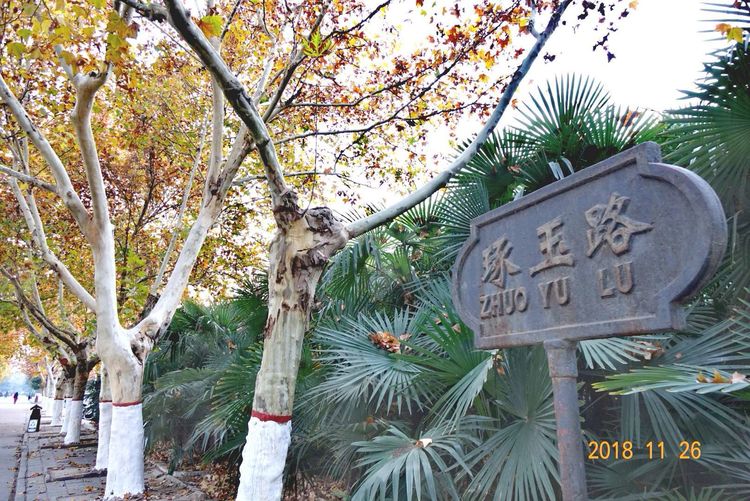 30年重回母校，深情切切，可喜新颜——河大老校区随拍