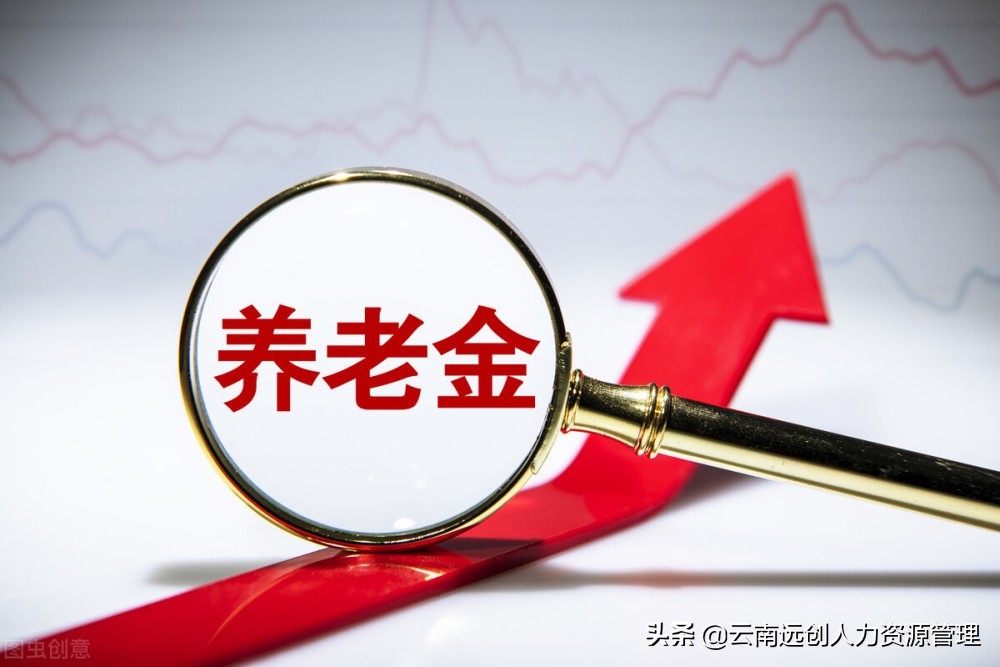 五险变四险，养老金又涨了