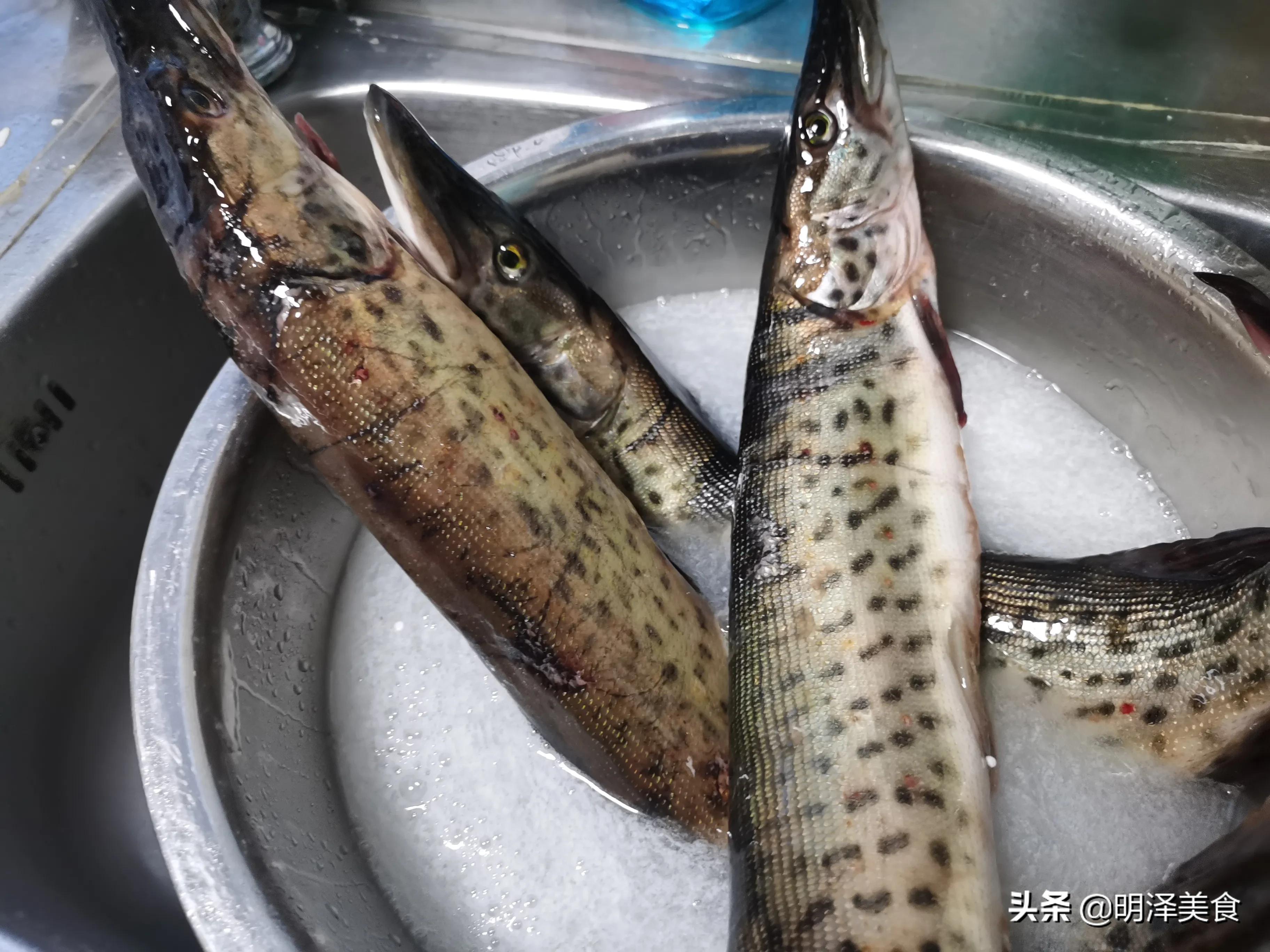 狗鱼怎么做好吃,狗鱼的吃法