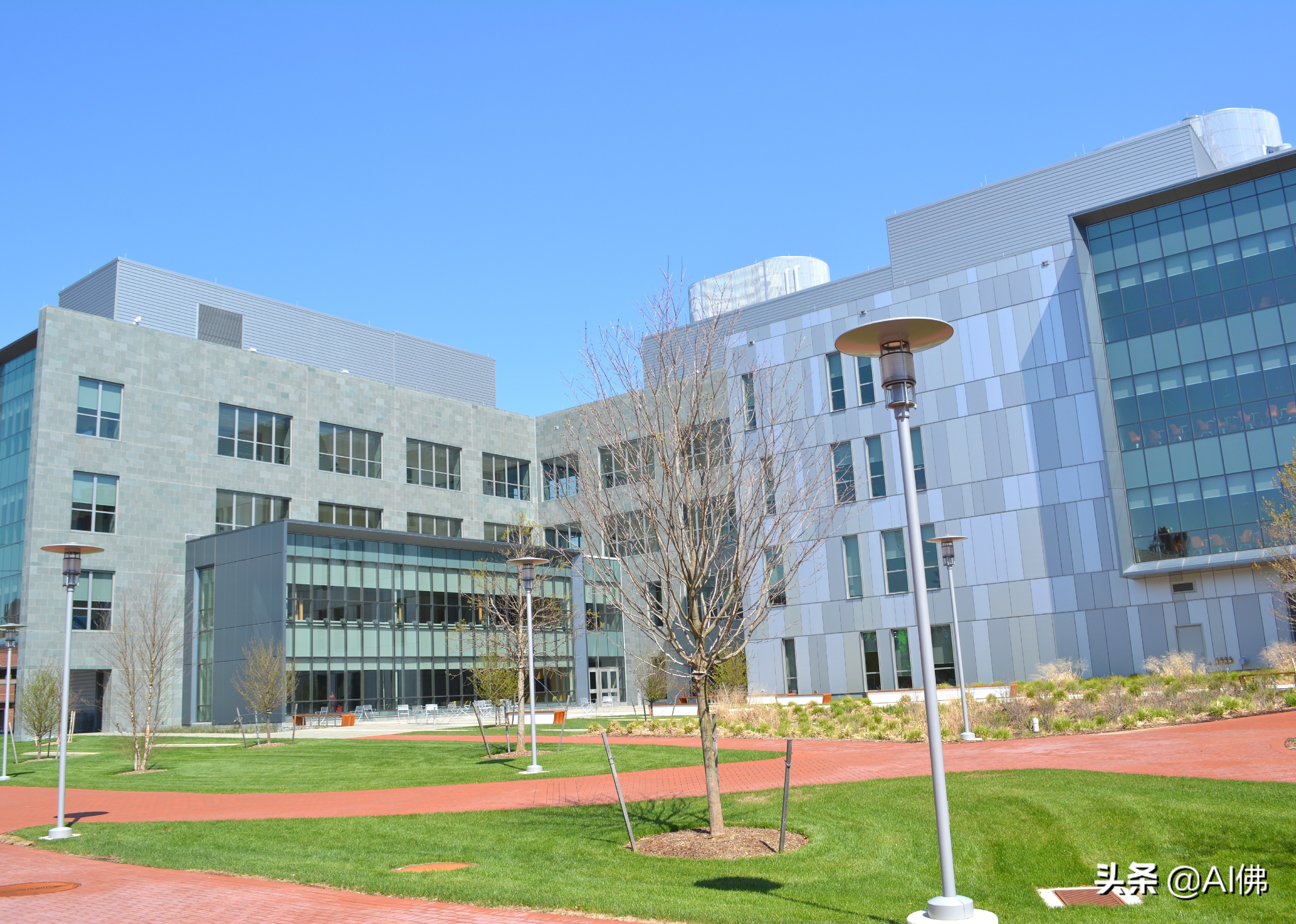 美国每个州ROI最高的公立大学