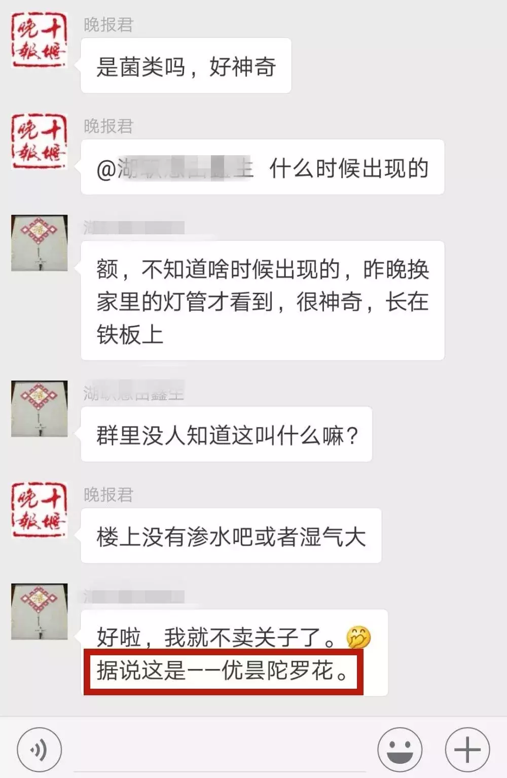 家中发现不明生物!有人说是三千年才开一次的花,有人说是虫……