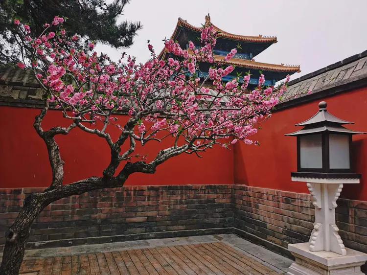心如坠冰窟，绝望笼罩每一寸呼吸