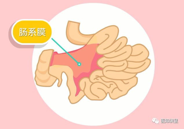 宝宝便秘、腹泻、消化不好，益生菌别乱吃！补之前这项检查做了吗