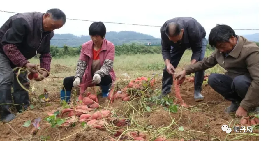 张宽民:故乡那人,那事(短文三篇)