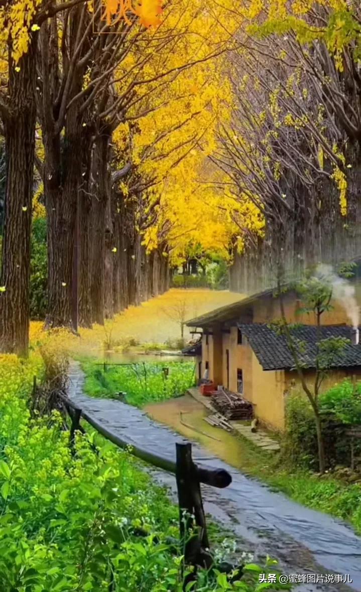 壁纸美图,人生,是认清与看淡,万事,尽心尽力,而后,顺其自然