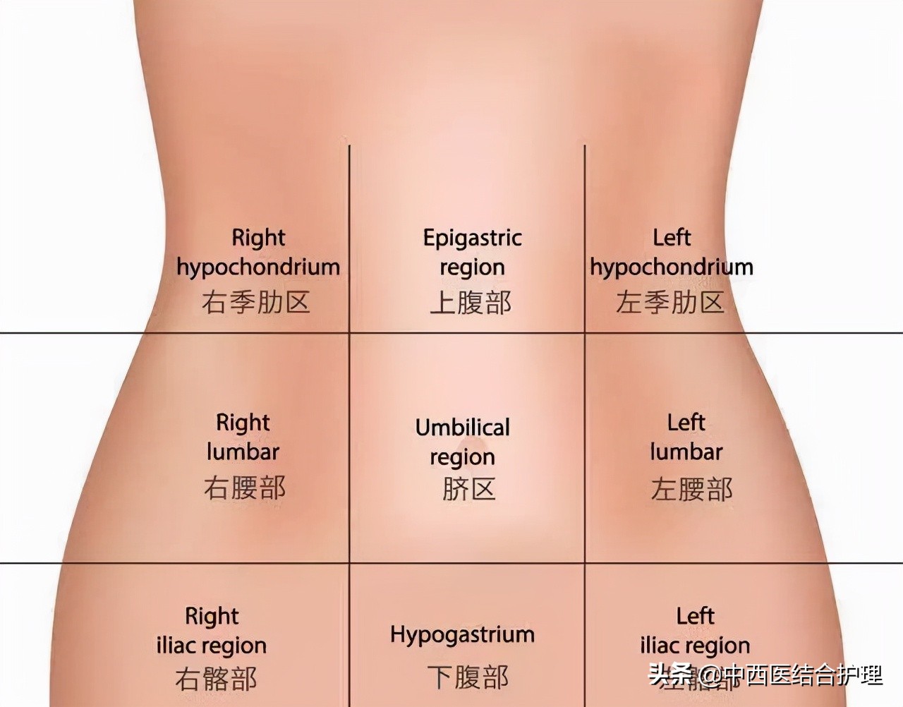 左侧腹痛的常见原因及诊断要点