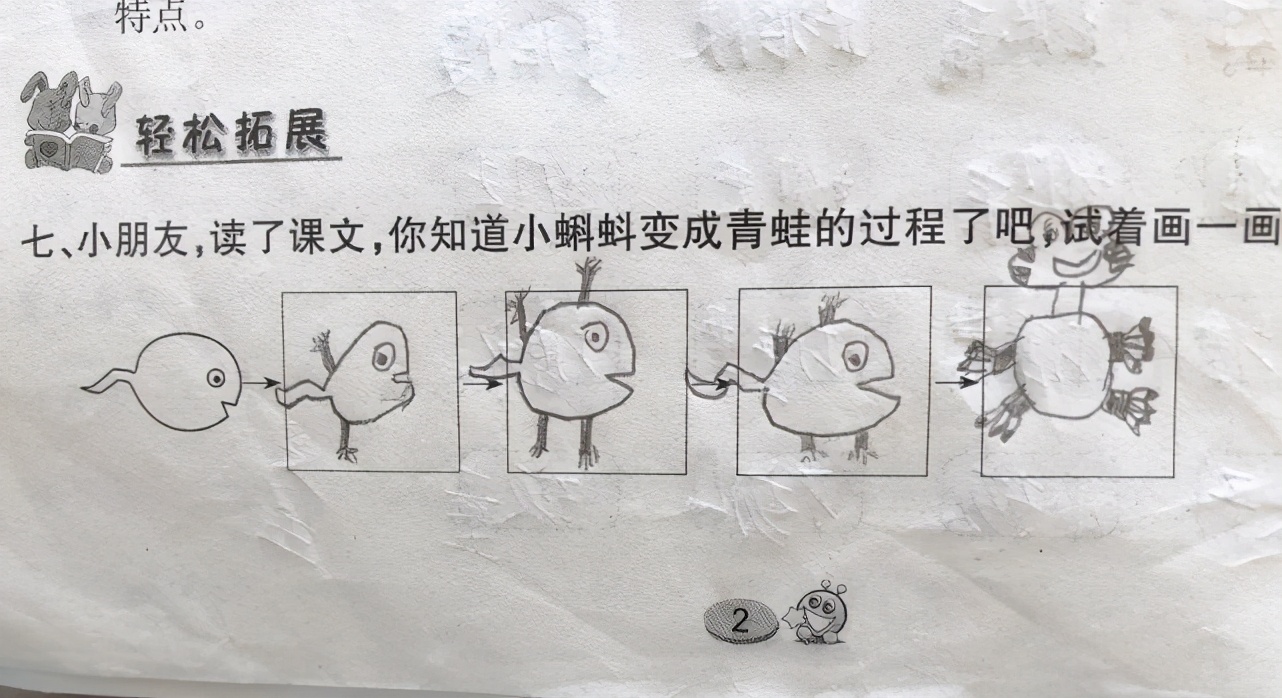 小学生在作业上画“青蛙”，老师看后一脸问号，网友：灵魂画手