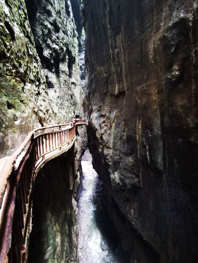重庆旅游6日游多少钱(重庆旅游3--4日游攻略)
