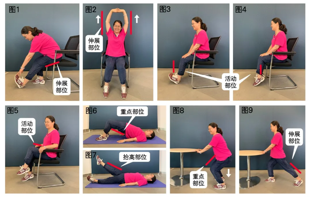 重阳节买什么礼物给老人（重阳节礼品）