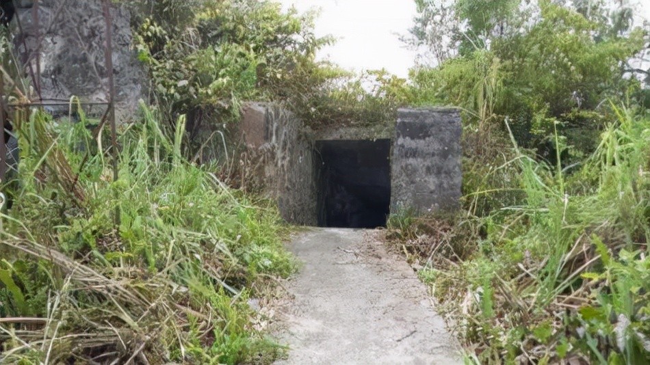 ���˽�ʮ�����ɽս�ۣ���Խ˫�������������ˣ�