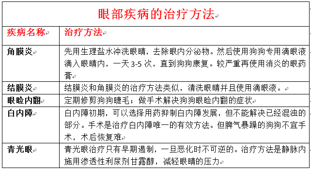 辟谣！狗狗流眼泪是因为伤心？殊不知可能是眼部疾病的发生