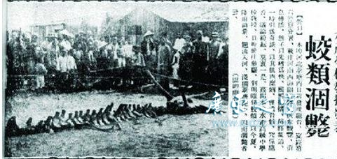 有人前去调查1944年松花江坠龙事件，竟然发现真实可信！