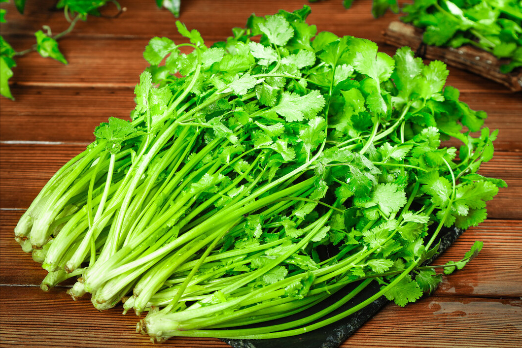 香菜保鲜妙招：轻松保存不发黄不腐烂