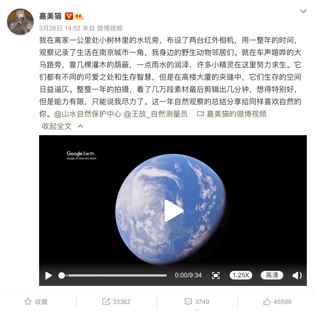 一个小水坑的罗曼蒂克消亡史