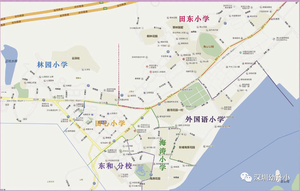 直接影响录取！深圳2021小一录取分流去向曝光！附各校分流名单