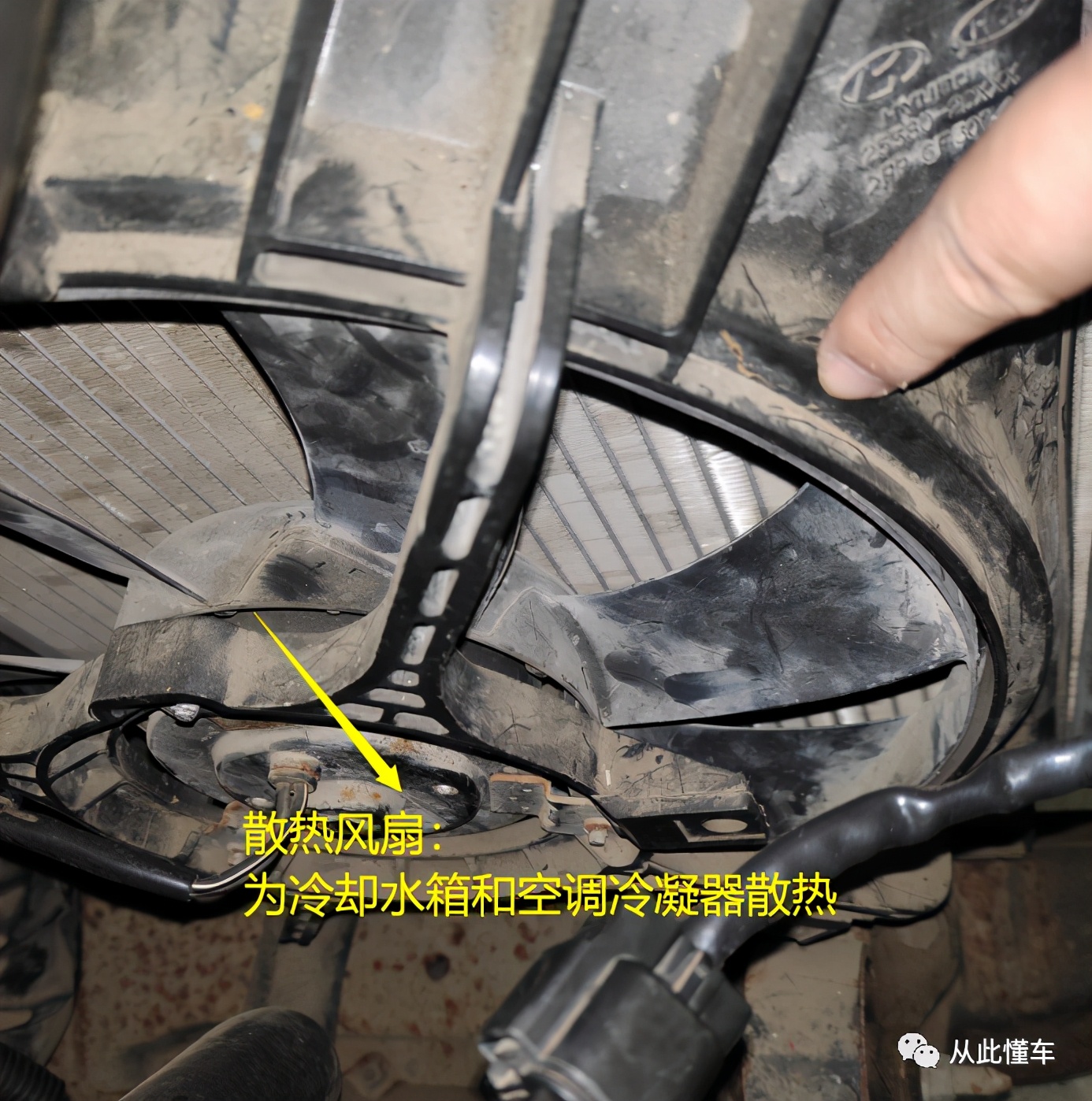 发动机舱各部件名称和作用