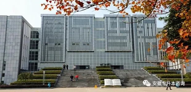 安徽专升本 | 2019年黄山学院旅游管理专业备考经验