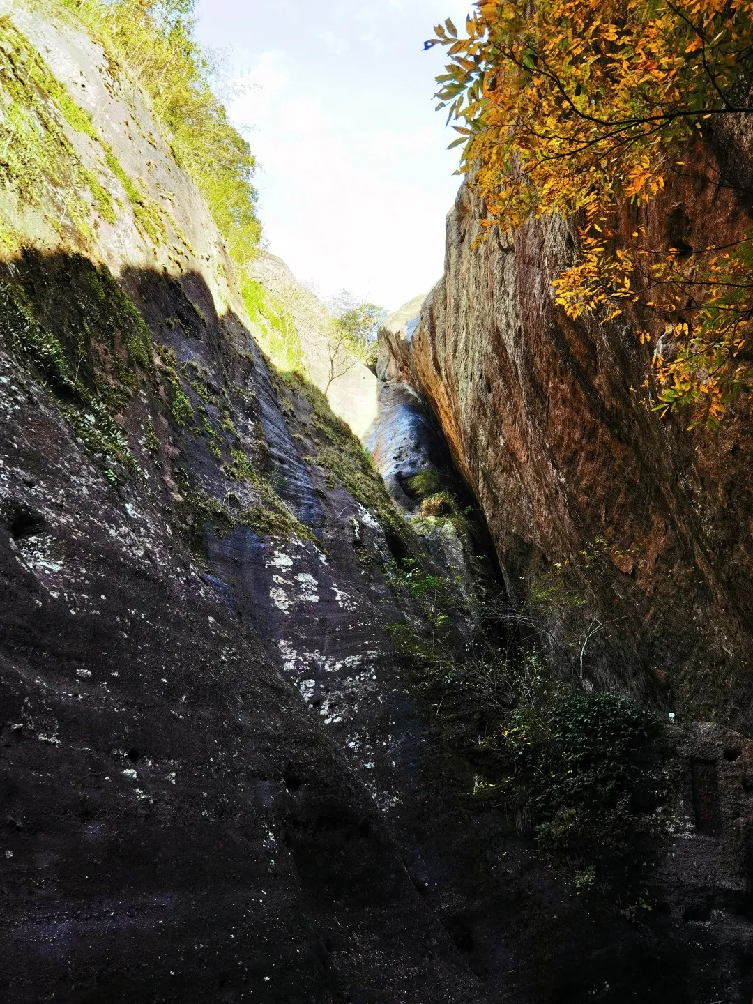 我和我的团队 | 盈科保理律师团队2021年武夷山团建活动圆满举行