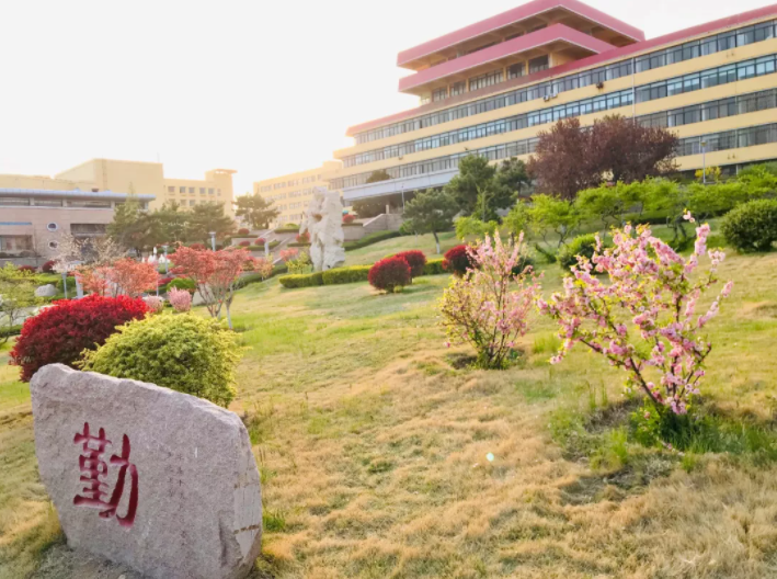 央视频频聚焦！占地2655亩，这所建在海边的山东高校，已跻身全国百强！