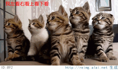 2020版最新法官、检察官表情大全！哈哈哈