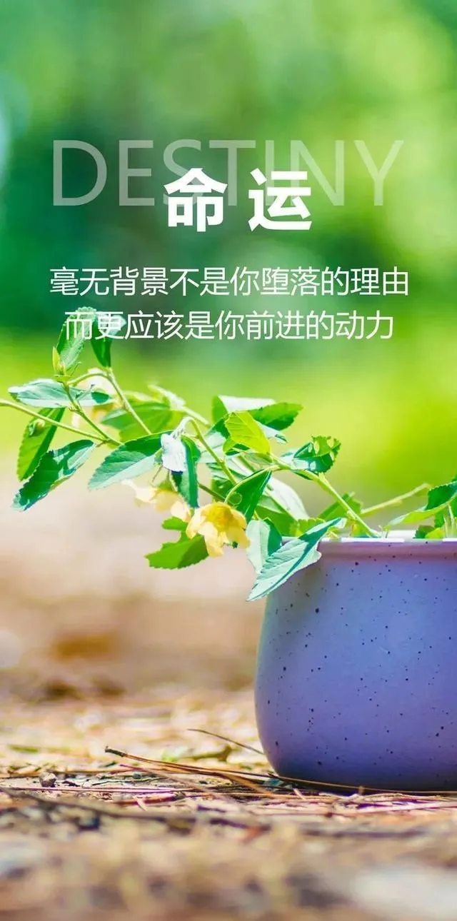 「2021.05.19」早安心语,正能量又是充满希望的一天继续笑着向前