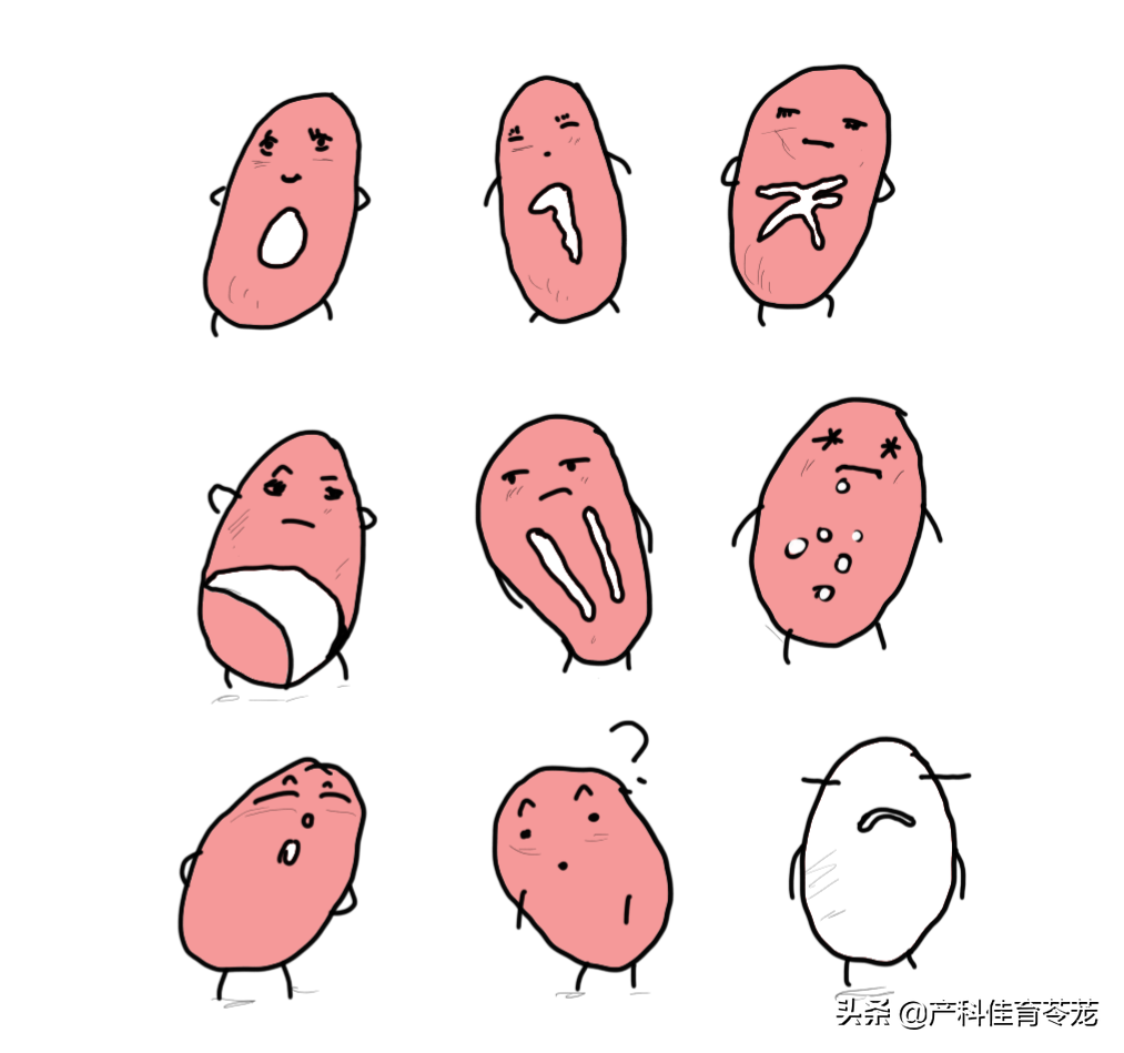 处女膜完整=处女？