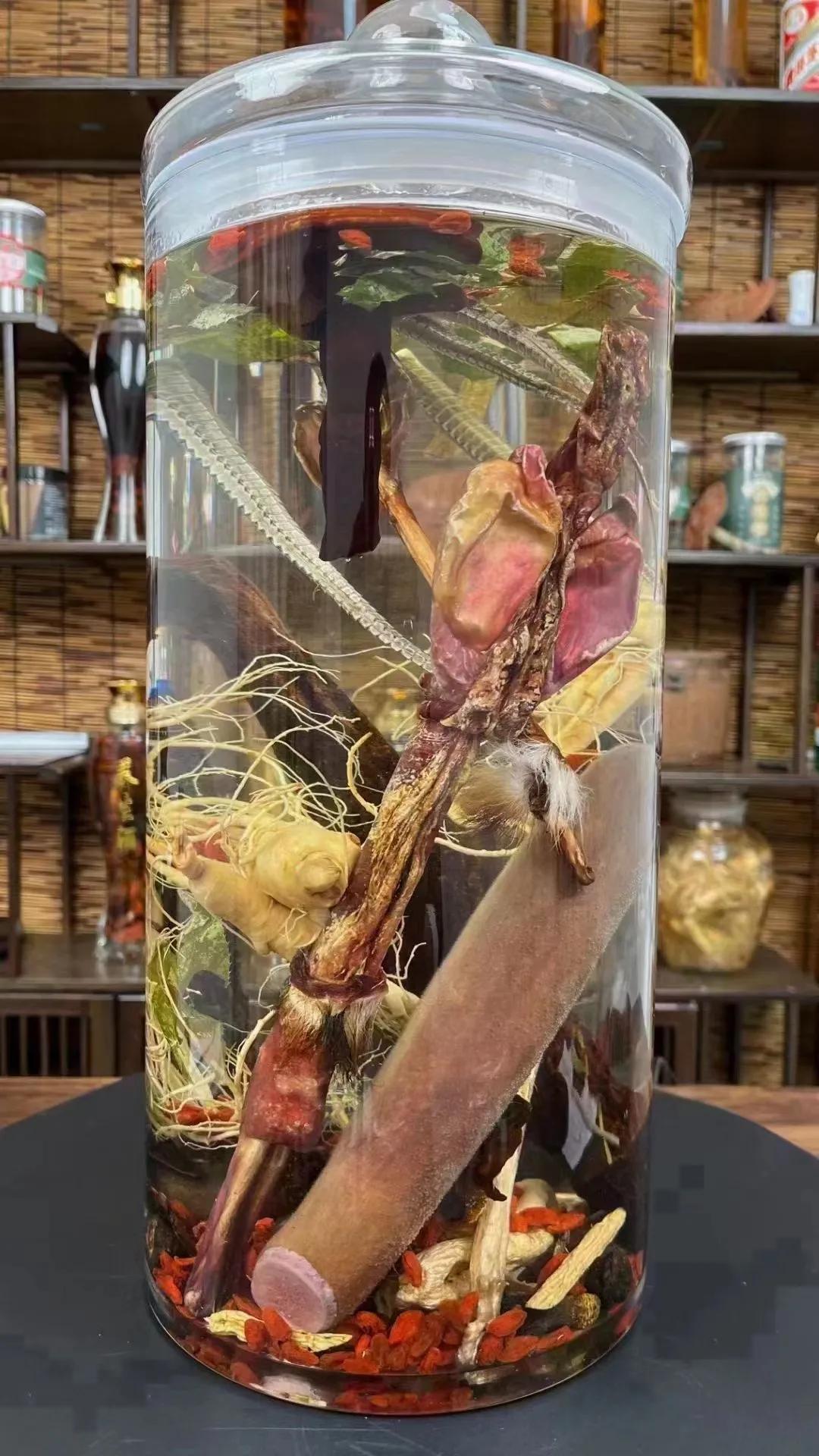 一根鹿鞭能泡酒多少斤 -生活知识库-动动脑