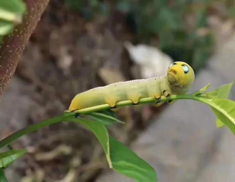 人生路上最深的真诚：以真心换真心，方得长久与信任。