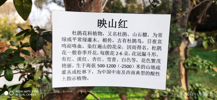 陪你一起看湖北省广水一中①——走进植物王国